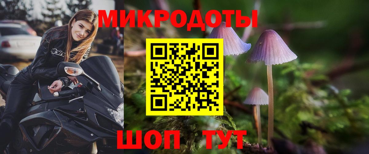 Псилоцибиновые грибы MAGIC MUSHROOMS  Вход с VPN  Благодарный  Псилоцибиновые грибы Psilocybine cubensis 